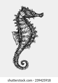 Sea horse abstract doodle style. Sea animal black drawing vector. Good use for illustration, symbol, mascot, icon, or any design you want. Easy to use, edit, or change color.