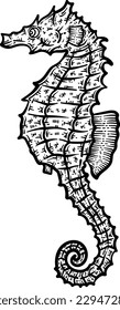 Sea Horse Animal Coloring Page for Adults