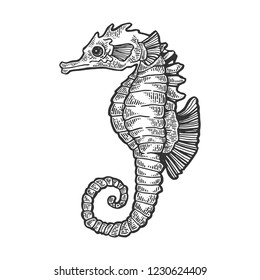 Sea horse animal engraving vector illustration. Scratch board style imitation. Black and white hand drawn image.