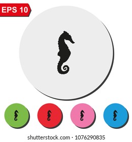 Sea horse flat round colorful vector icon.