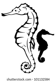 sea horse (hippocampus) vector illustration - black and white outline and silhouette