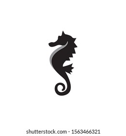 Sea horse icon and symbol vector illustration