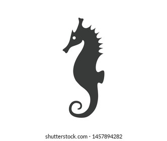 Sea horse icon. Vector sea horse illustration