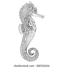 Sea horse illustration - Isolated Sea horse on simple white background