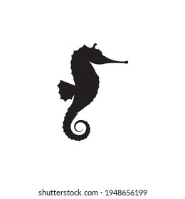 Sea horse illustration logo vector flat design