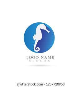 Sea Horse Logo. Icon & Symbol Vector template.