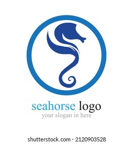 Sea Horse logo illustration design template