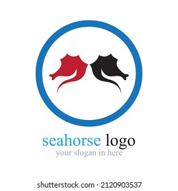 Sea Horse logo illustration design template