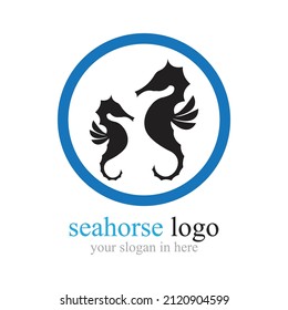 Sea Horse logo illustration design template