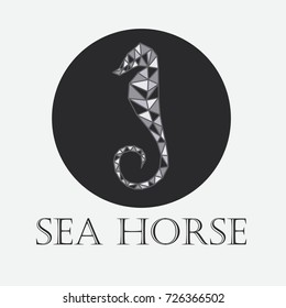 Sea horse on a black background