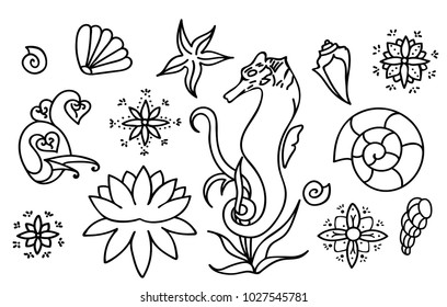 Sea horse, shells and doodle elements. Graphic sea life collection. Vector ocean creatures isolated on white background. Set of simple line drawings. Hand drawn illustration. Coloring book page design