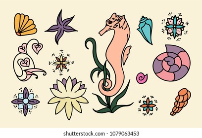 Sea horse, shells and doodle elements. Graphic sea life collection. Vector ocean creatures isolated on light yellow background. Set of colorful drawings. Hand drawn illustration.