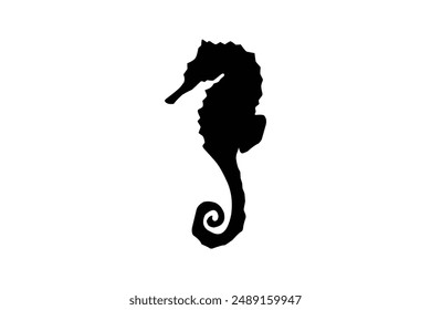 Sea Horse Silhouette Vector Images