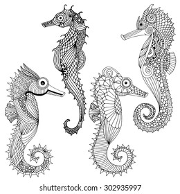 Sea horse variations - various Sea horse illustration collection