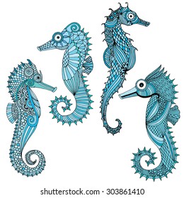 Sea horse variations - various Sea horse illustration collection