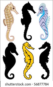 Sea Horse Vector