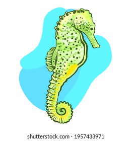 sea horse vector icon illustration  with white background