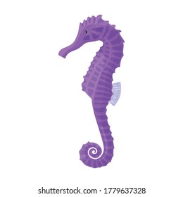 Sea horse vector icon.Cartoon vector icon isolated on white background sea horse.