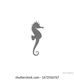 Sea Horse. Vector Illustration. Isolated Sea Horse On White Background