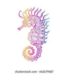 Sea horse, vector illustration of marine tropical fish. Totem animal for tattoos. Design element. Linear stylized image of of marine life. Print on t shirt, cover. Mascot.