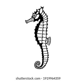 Sea Horse. Vector stock illustration eps10. Isolate on white background, outline, hand drawing.