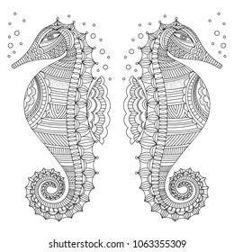 Sea horses adult coloring book page. Exotic stylized ocean animal symbols. Vector black outline seahorse couple on white background. Abstract marine pattern. Doodle ornament.