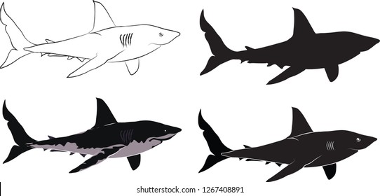 Sea hunter, killing machine, Ocean animal