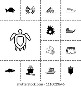 Sea icon. collection of 13 sea filled and outline icons such as cargo ship, extinct fish, sail, crab, fish, boat, turtle  illsutration. editable sea icons for web and mobile.