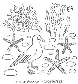 Sea icons vector set. Gull, seaweed, starfish, coral hand drawn isolated objects. Icons in sketch style. Marine theme