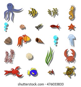 Sea inhabitants on a white background. Vector illustration. Cartoon version