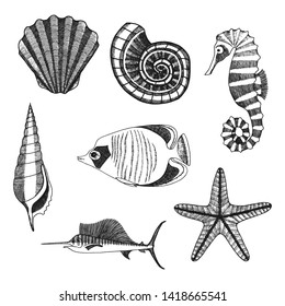 Sea inhabitants set. Hand-drawn sketch of seahorse, starfish, seashells and fish. 