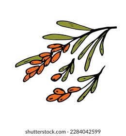 Isolación de garabato Concepto de verano, frutas, bayas y comida saludable. Objetos para icono, menú, portada, afiche, tarjetas, elemento web, medios sociales, tarjeta para niños.