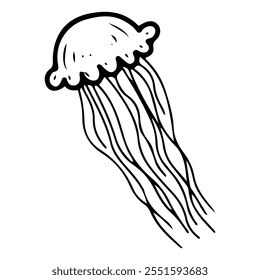 Sea jellyfish hand drawn doodle. Ocean animal. Underwater fish. Wild life of bottom nature. Dangerous season. Marine fauna. Vector line art illustration.