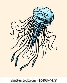 Sea jellyfish. Nautical or marine medusa, ocean sea jelly with tentacles. Hand drawn monochrome retro engraved old sketch. Vector illustration for tattoo or emblems.