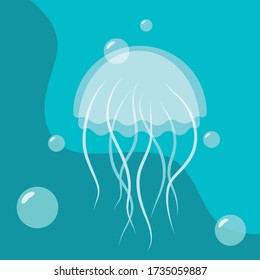 Sea jellyfish. Underwater world. Poster white clear jellyfish in water.