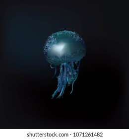 Sea jellyfish. Vector illustration