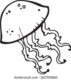sea jellyfish vector. illustrations of sea animals vector. floating jellyfish vector