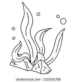 Sea kale. Vector illustration of algae. Hand drawn sea kale, seaweed.