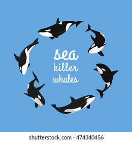 sea killer whales