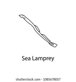 sea lamprey icon. Element of marine life for mobile concept and web apps. Thin line sea lamprey icon can be used for web and mobile. Premium icon on white background
