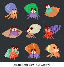 Sea Land Hermitcrab and colorful Shell 