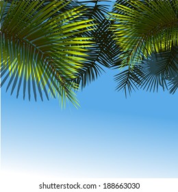 Sea landscape palm. Vector 