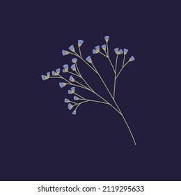 Sea lavender, Limonium flowers twig. Dry floral plant Statice. Small Caspia blooms on sprig for decoration. Gentle pretty wild field flora. Isolated botanical flat vector illustration