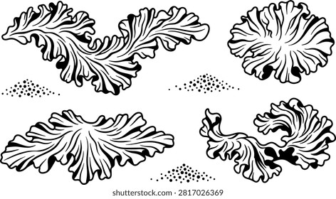Sea Lettuce Algae Vector Set Featuring Ruffled Ulva Lactuca Foliage and Stippled Sand Mound Elements for Marine Biology Studies and Coastal Ecosystem Graphics.eps