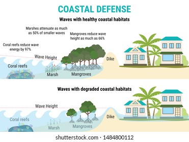 Sea Level Rise Infographic. Coastal Defenses To Sea Level Rising (mangroves, Marshes, Coral Reefs, Dikes). Flood Protection. Global Warming And Climate Change Vector Concept. 
