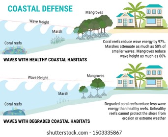 Sea Level Rise Infographic. Coastal Defenses To Sea Level Rising (mangroves, Marshes, Coral Reefs, Dikes). Flood Protection. Global Warming And Climate Change Vector Concept. 
