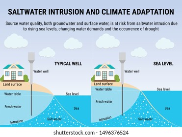 Sea Level Rise Infographic. Saltwater Intrusion And Climate Adaptation. Environmental Vector Infographic. Water Pollution. Global Warming And Climate Change Vector Concept.