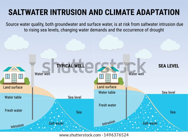 Sea Level Rise Infographic Saltwater Intrusion Stock Vector Royalty Free