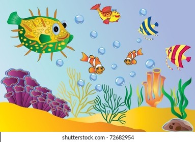 Sea Life