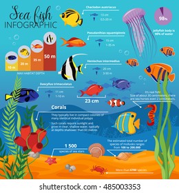 Sea life animals plants infographic with types of fish their sizes and descriptions vector illustration